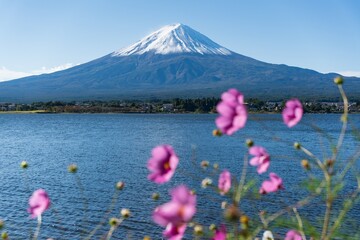 mountain in spring