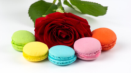 macaron cookies and rose on white background. French cookie. 