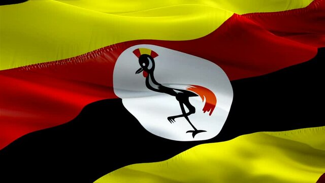 Uganda flag. National 3d Uganda flag waving. Sign of Ugandan seamless loop animation. Uganda flag HD Background. Ugandan flag Closeup 1080p Full HD video for presentation. Ugandan flags for Victory da