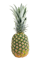 Obraz premium Single whole pineapple isolated on white background. Pineapple with leaves isolate on white. Whole pineapple with green leaves isolated