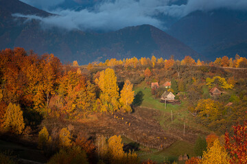 Rural scene in Romania