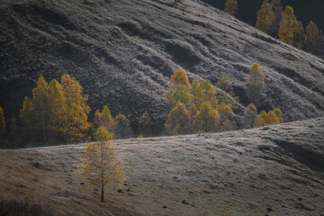Autumn morning on a hill with hoar frost on the grass