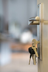 The bunch of keys with keyring in the door keyhole with blurred background, selective focus