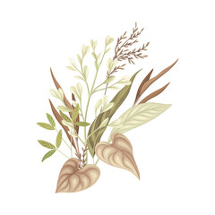 Bouquet with dried tropical exotic plants. Flowers in taupe, dusty pink, brown, sepia trendy colors for your own design vector illustration