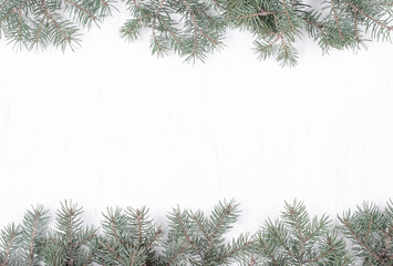 Christmas Card. Fir Branches on White Wooden Background