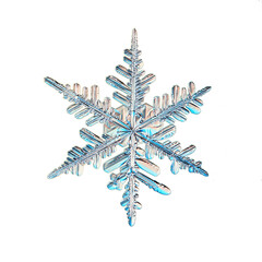 snowflake isolated object on white background natural photo crystal