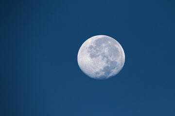 Moon
