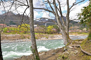 【群馬県利根郡】春の水上 桜咲く諏訪峡遊歩道