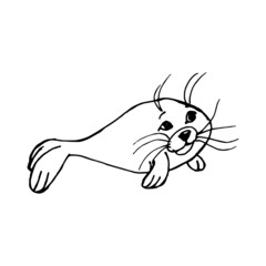 Cute fur seal illustration. Outline. Vector sketch illustration.