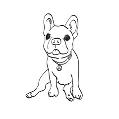 puppy french bulldog illustration vector isolated on white background line art.