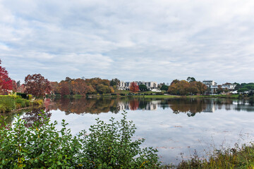 nice landscape with a lake near the town of Dax in autumn - obrazy, fototapety, plakaty