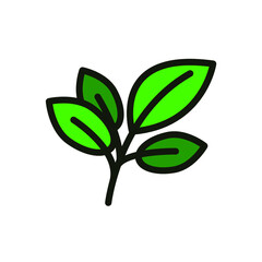 the plant leaves icon. lettuce leaves