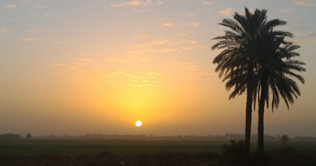 Fototapeta premium Sunrise in the Iraqi countryside