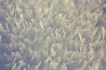 Fototapeta premium abstract winter background hoarfrost frost ice snow seasonal