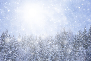 Obraz na płótnie Canvas winter background snowfall trees abstract blurred white