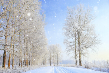 winter landscape trees covered with hoarfrost