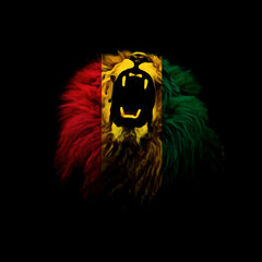 country flag on black background