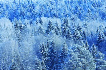 winter landscape trees covered with hoarfrost