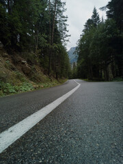 road in the forest