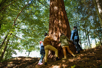 Low angle view of diverse group of environmental activists hugging large sequoia tree in forest