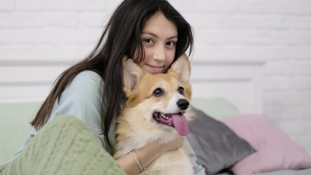 young teen girl hugging corgi dog with love. Dog lover with domestic animal. soft selective focus. happy teenager girl dog owner play with puppy outdoor.Cute fun couple.