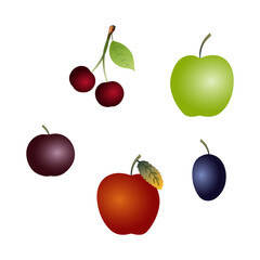 Set of flat art fruit and berries with dark bright ruby cherries, big dark round purple plum, blue oval prune and green and red apples with stems and a green leaf isolated on a white background