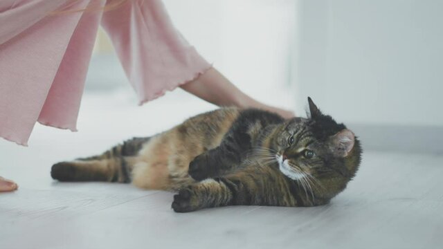 woman and and her cat, relax at home