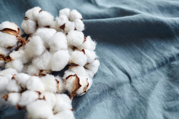 Fototapeta na wymiar White cotton flowers on blue fabric