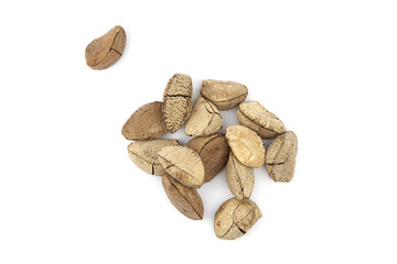 Brazil nuts or Bertholletia excelsa seeds isolated on white