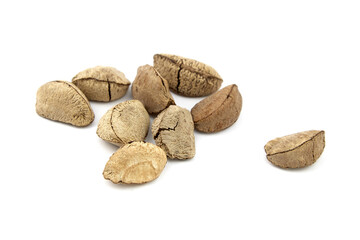 Brazil nuts or Bertholletia excelsa seeds isolated on white