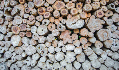 Many stump are made to decorate the wall.