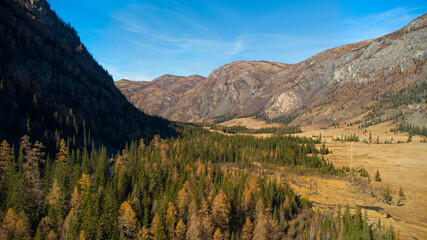 Wonderful sunny view of the mountains and pine forest in Russia