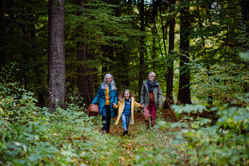 Small girl with mother and grandmother holding hands on walk outoors in forest.