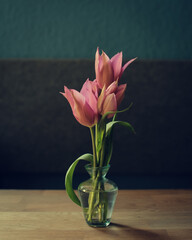 tulpen
