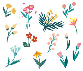 Spring flowers set. Tulips, daisies, roses, chrysanthemums and mimosa. Arrangements for greeting card or invitation design. Vector cartoon hand draw illustration.