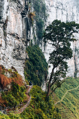 Trail on mountain in Hagiang, Vietnam