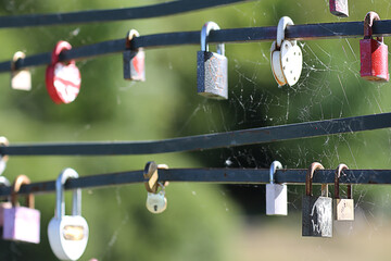 selective focus of locselective focus of locks on the fence. wedding tradition spider web castleks on the fence. wedding tradition 