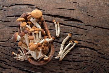 Armillaria mellea or honey mushrooms in the wooden bowl on the table. Top view.