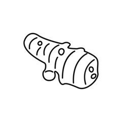 Black and white image of a topinambur. Vector image, eps