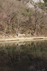 Paesaggio di montagna
