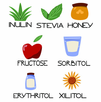A set of sugar substitute illustrations. Natural and healthy products. Images of sugar alternatives with a caption on a white background.