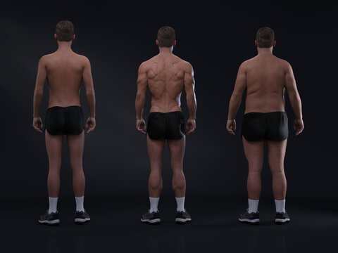 3D Rendering : Comparison of the standing male body type : ectomorph (skinny type), mesomorph (muscular type), endomorph(heavy weight type)
