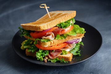 Tasty sandwich with vegetables and meat