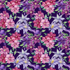 Purple and pink flowers, clematis, leaves and bud watercolor hand drawing. Floral seamless pattern, meadow wildflowers