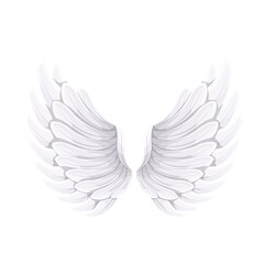 White wings of Angel or bird , vector illustration.
