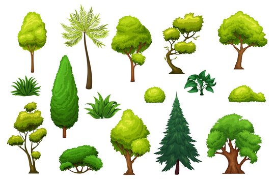 Trees and bushes. Icons for design landscape park, forest, backyard. Green shrubs, garden and forest trees vector illustration.