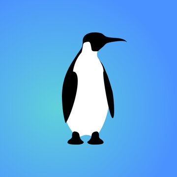 Isolated penguin on blue background. Sea animal, bird. Colorful penguin flat design.