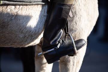 A military boot in the stirrup against the horse's belly vindicates the white.