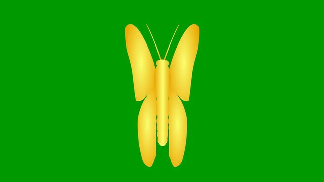 Animated gold butterfly flaps. Looped video. Flat vector illustration isolated on green background.
