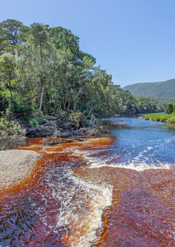 Grootrivier in South Africa's Garden Route